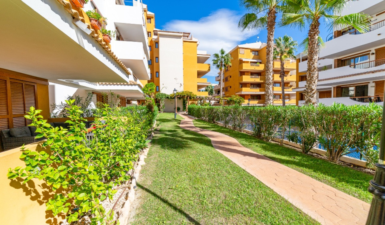 Herverkoop - Appartement / Flat - Punta Prima