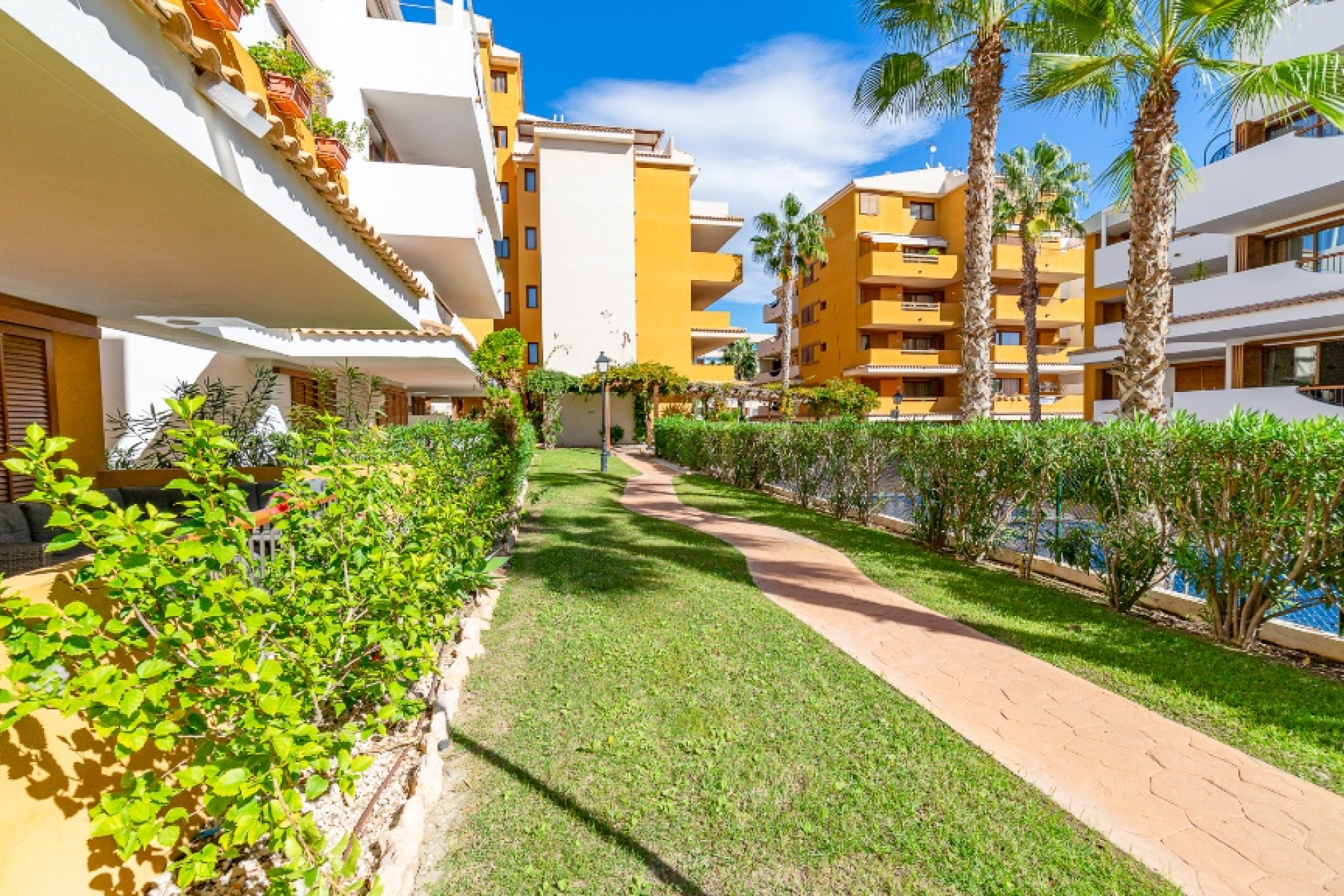 Herverkoop - Appartement / Flat - Punta Prima
