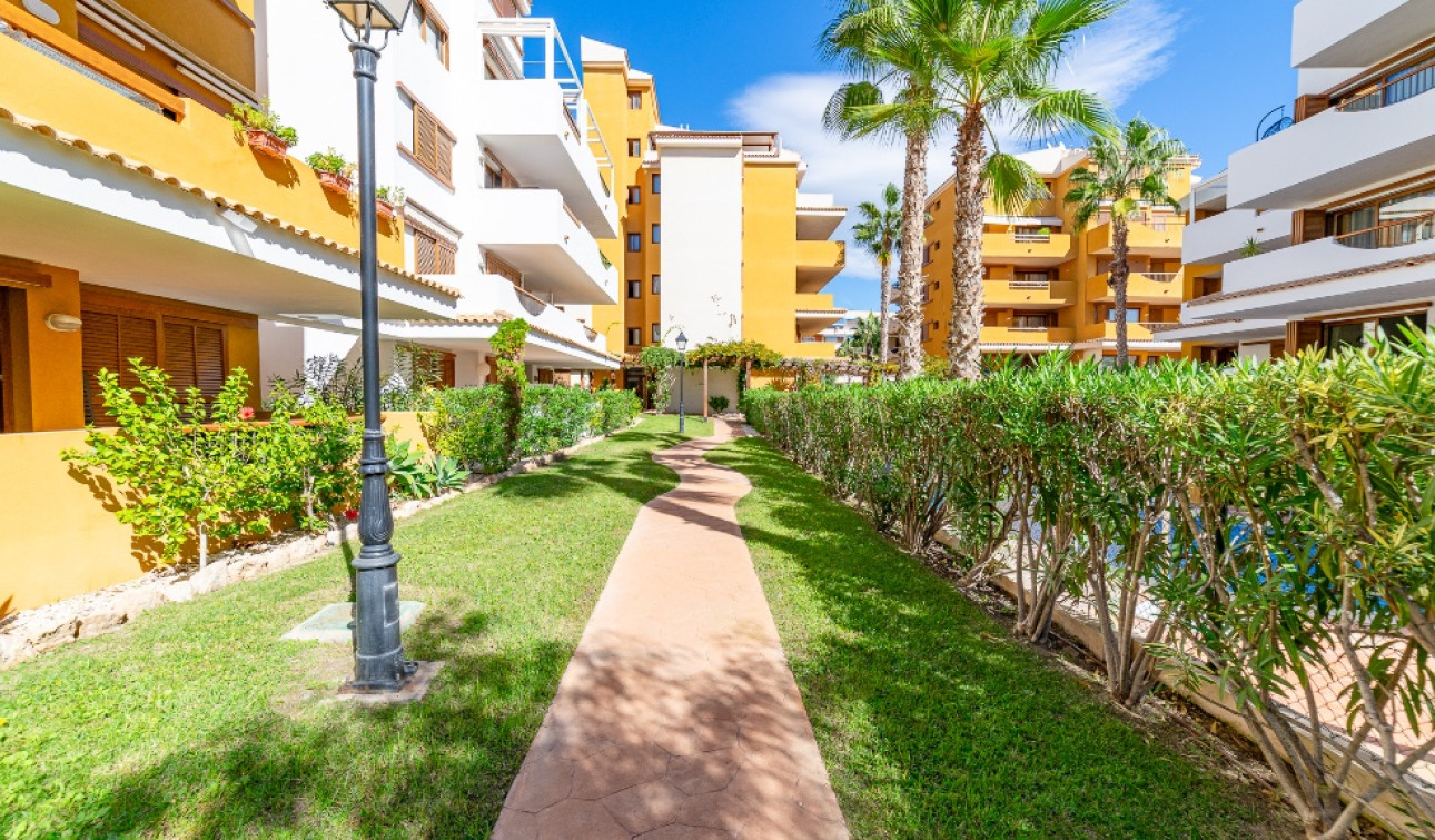 Herverkoop - Appartement / Flat - Punta Prima
