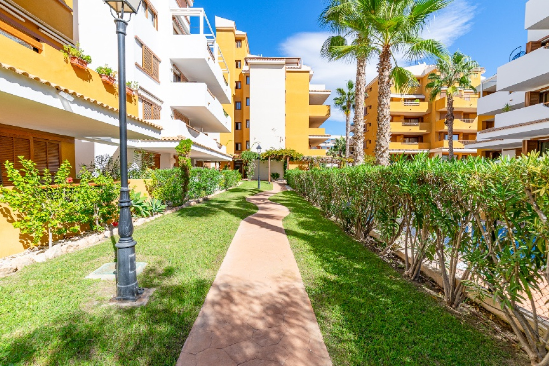 Herverkoop - Appartement / Flat - Punta Prima