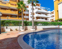 Herverkoop - Appartement / Flat - Punta Prima