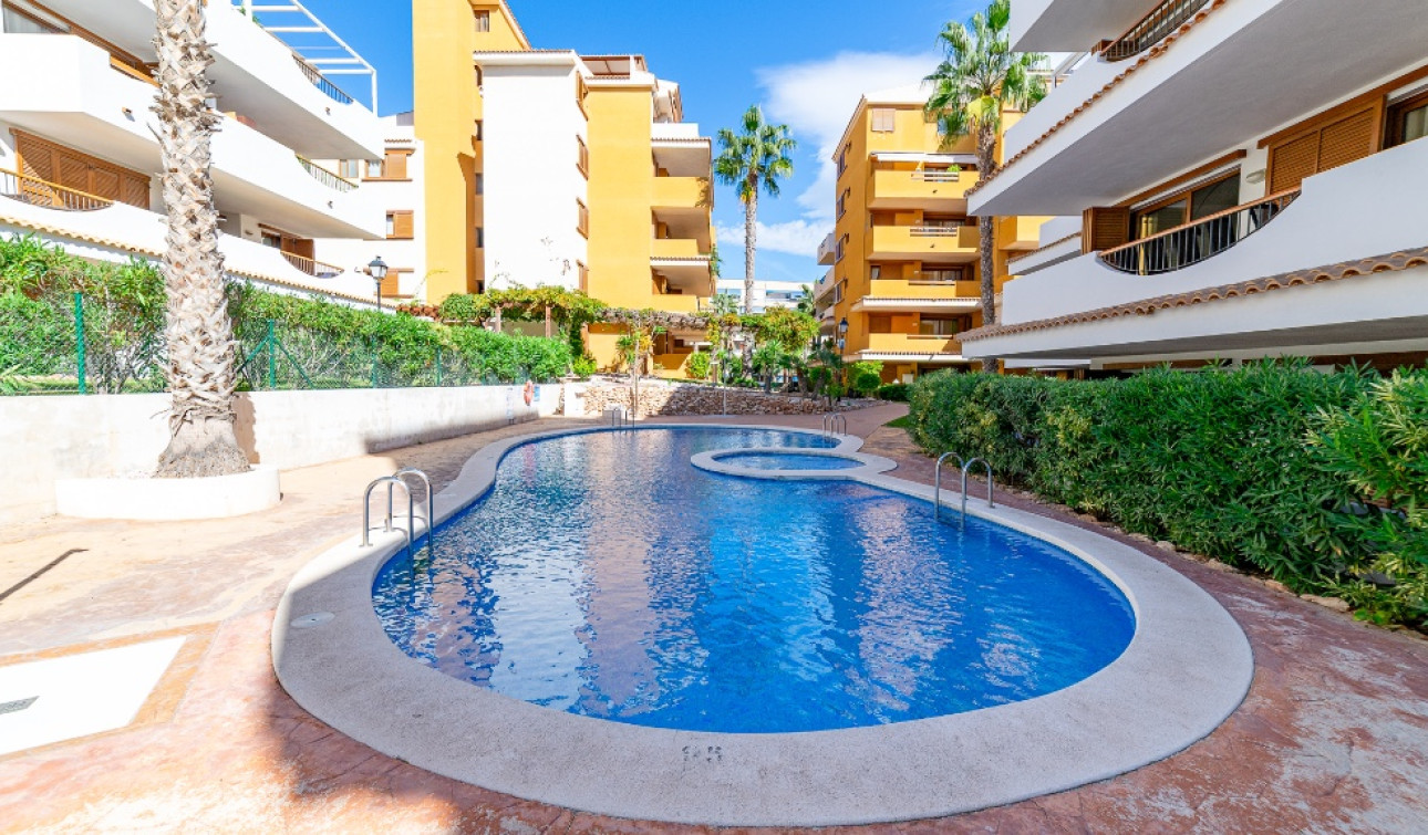Herverkoop - Appartement / Flat - Punta Prima