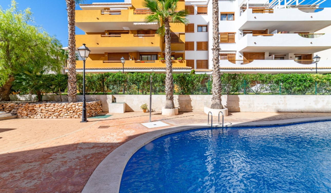 Herverkoop - Appartement / Flat - Punta Prima