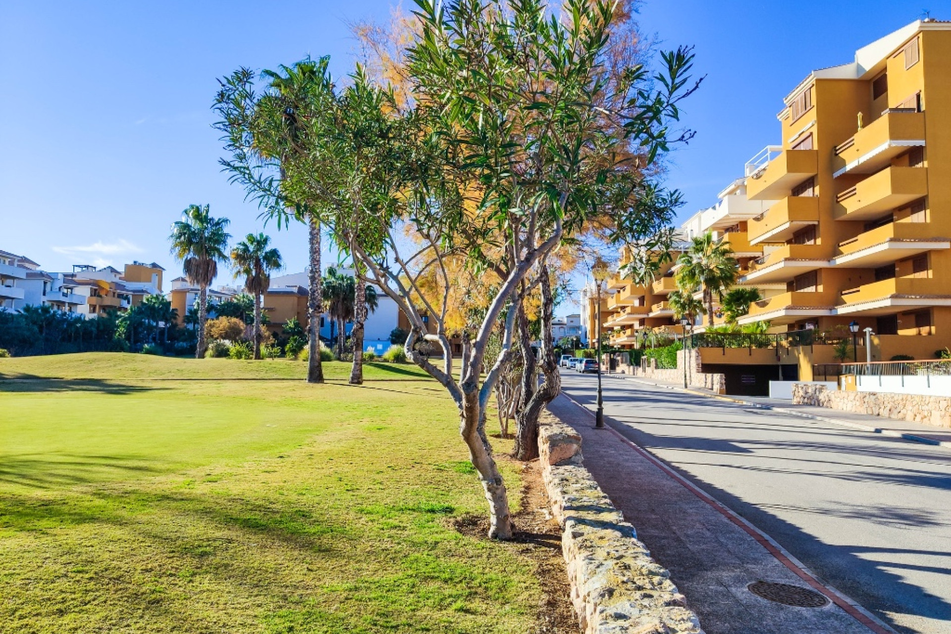 Herverkoop - Appartement / Flat - Punta Prima