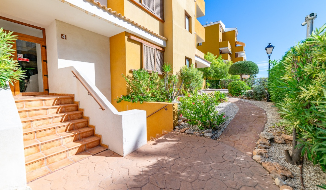 Herverkoop - Appartement / Flat - Punta Prima