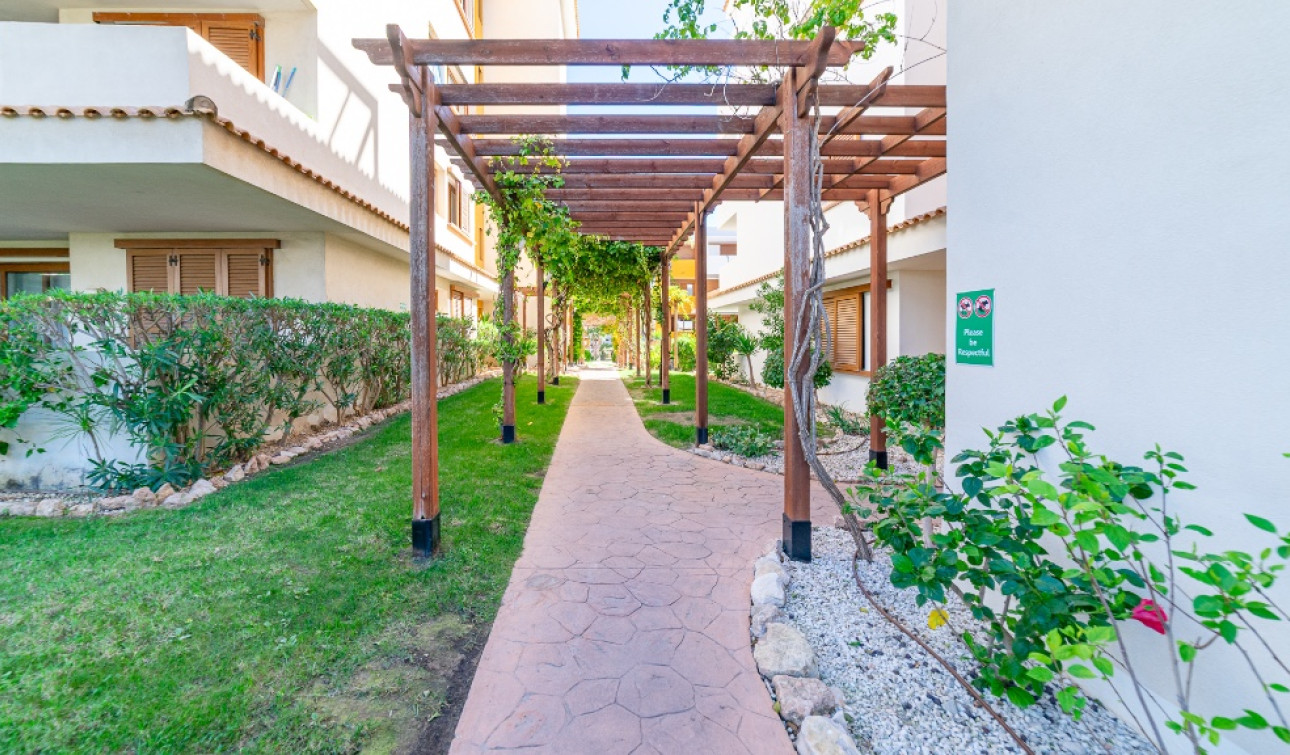 Herverkoop - Appartement / Flat - Punta Prima
