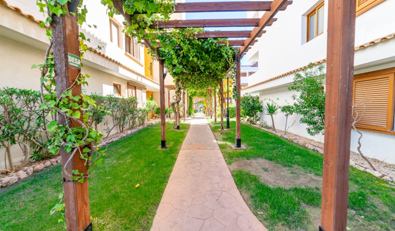 Herverkoop - Appartement / Flat - Punta Prima