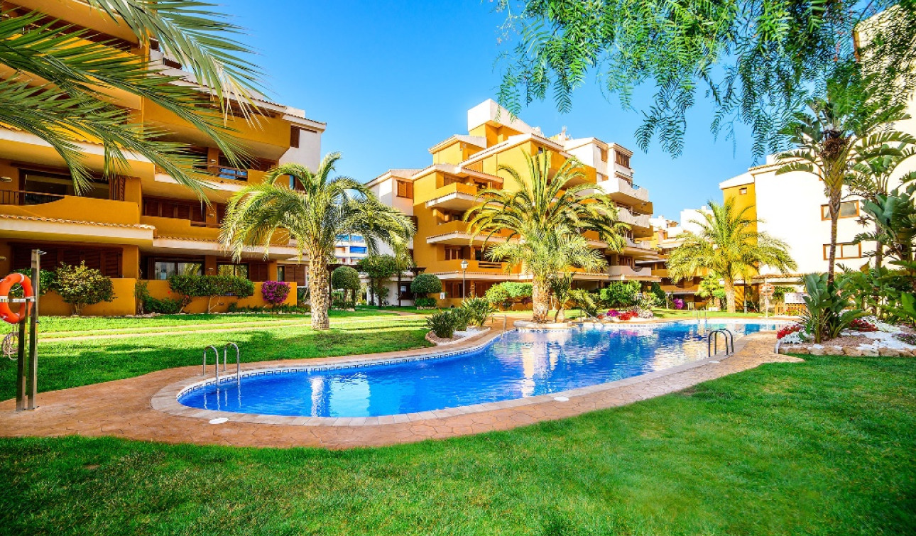 Herverkoop - Appartement / Flat - Punta Prima
