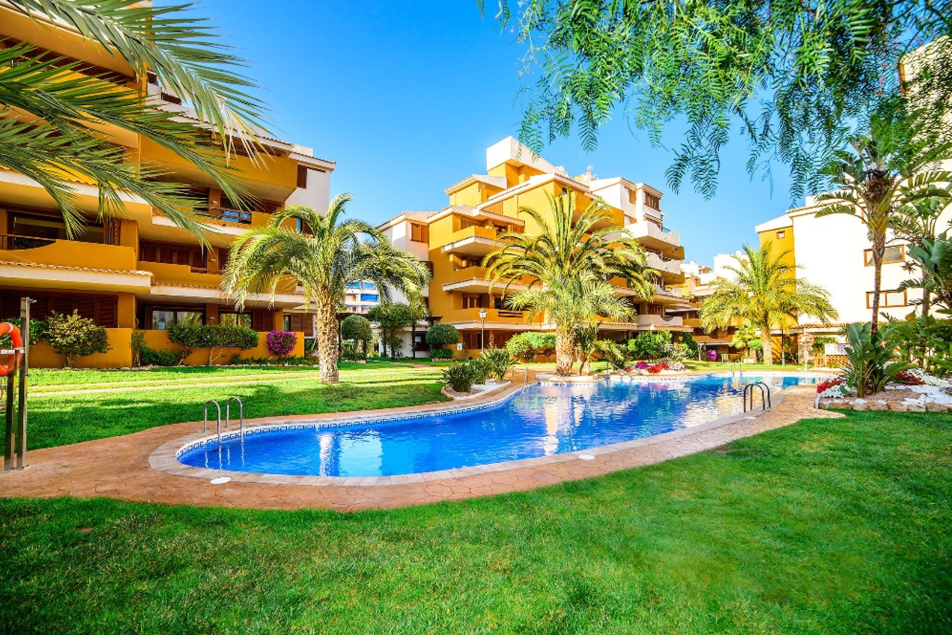 Herverkoop - Appartement / Flat - Punta Prima