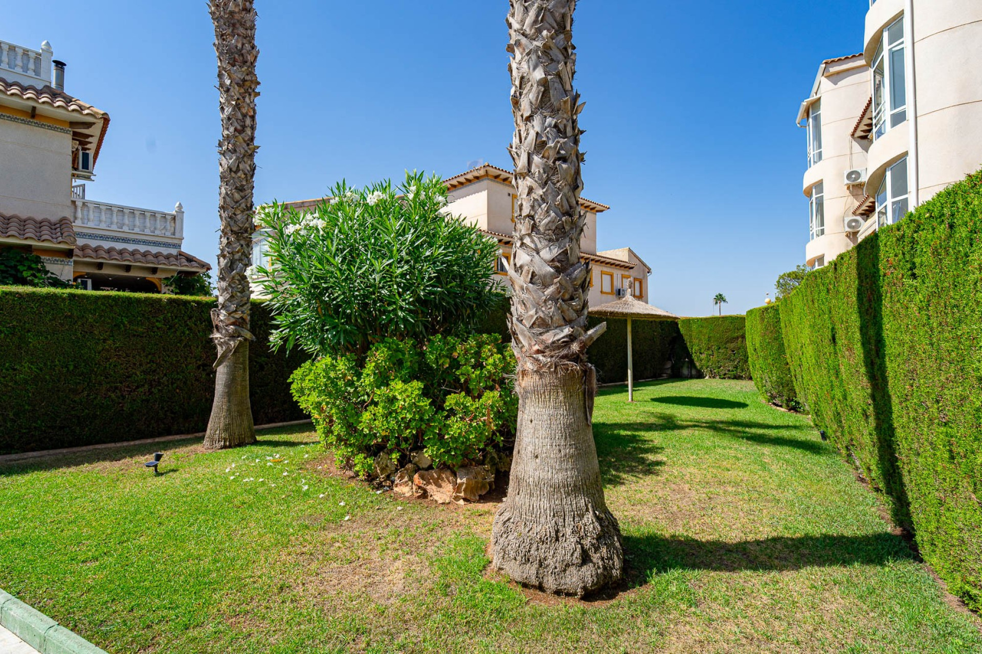 Herverkoop - Appartement / Flat - Punta Prima