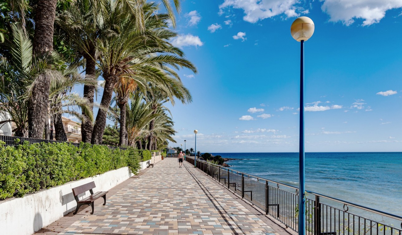Herverkoop - Appartement / Flat - Punta Prima