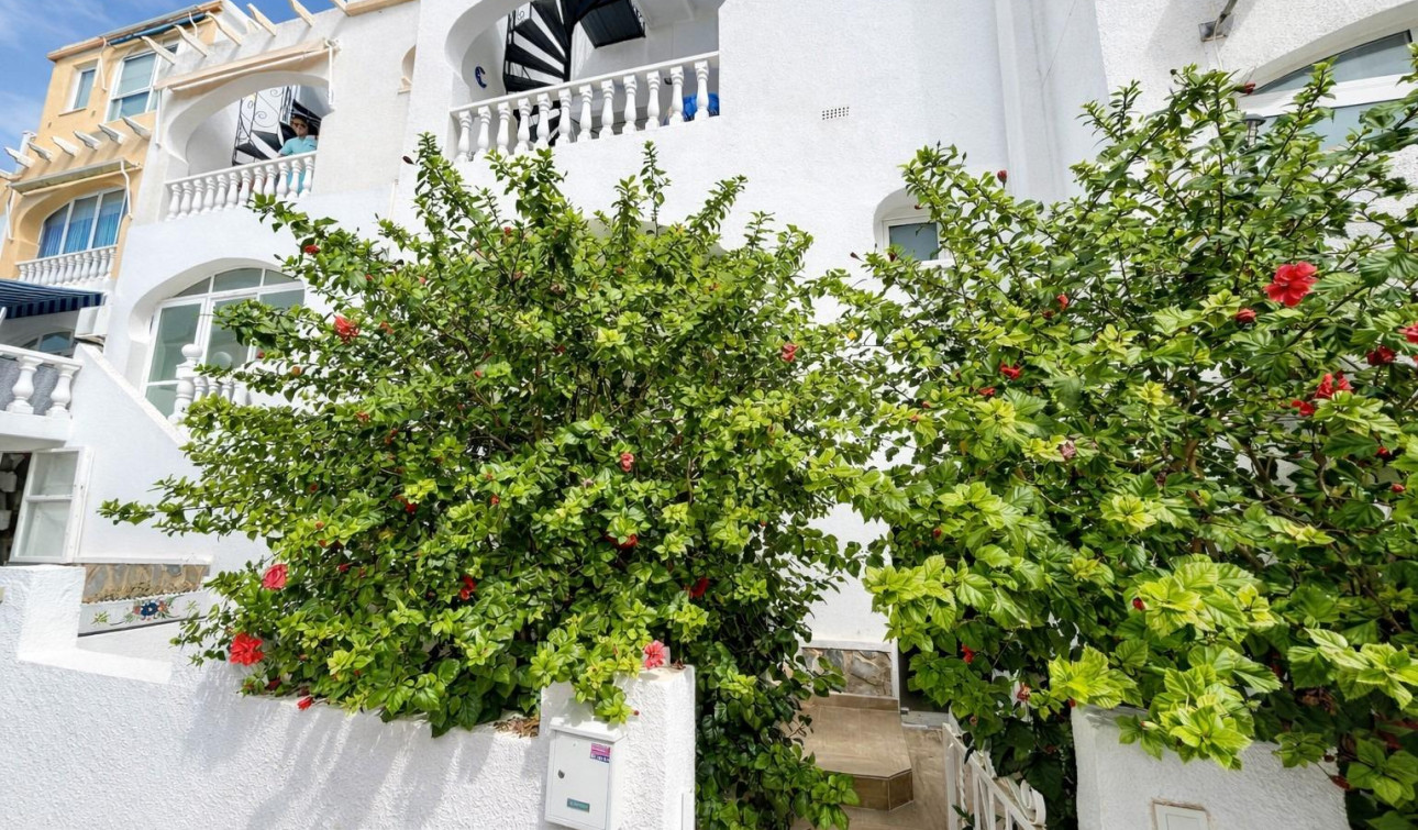 Herverkoop - Appartement / Flat - San Miguel de Salinas - Las filipinas