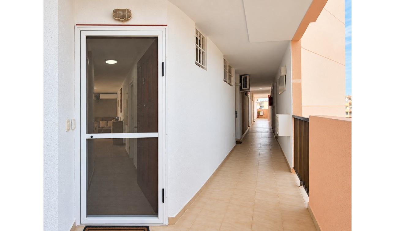 Herverkoop - Appartement / Flat - Torrevieja - La Mata