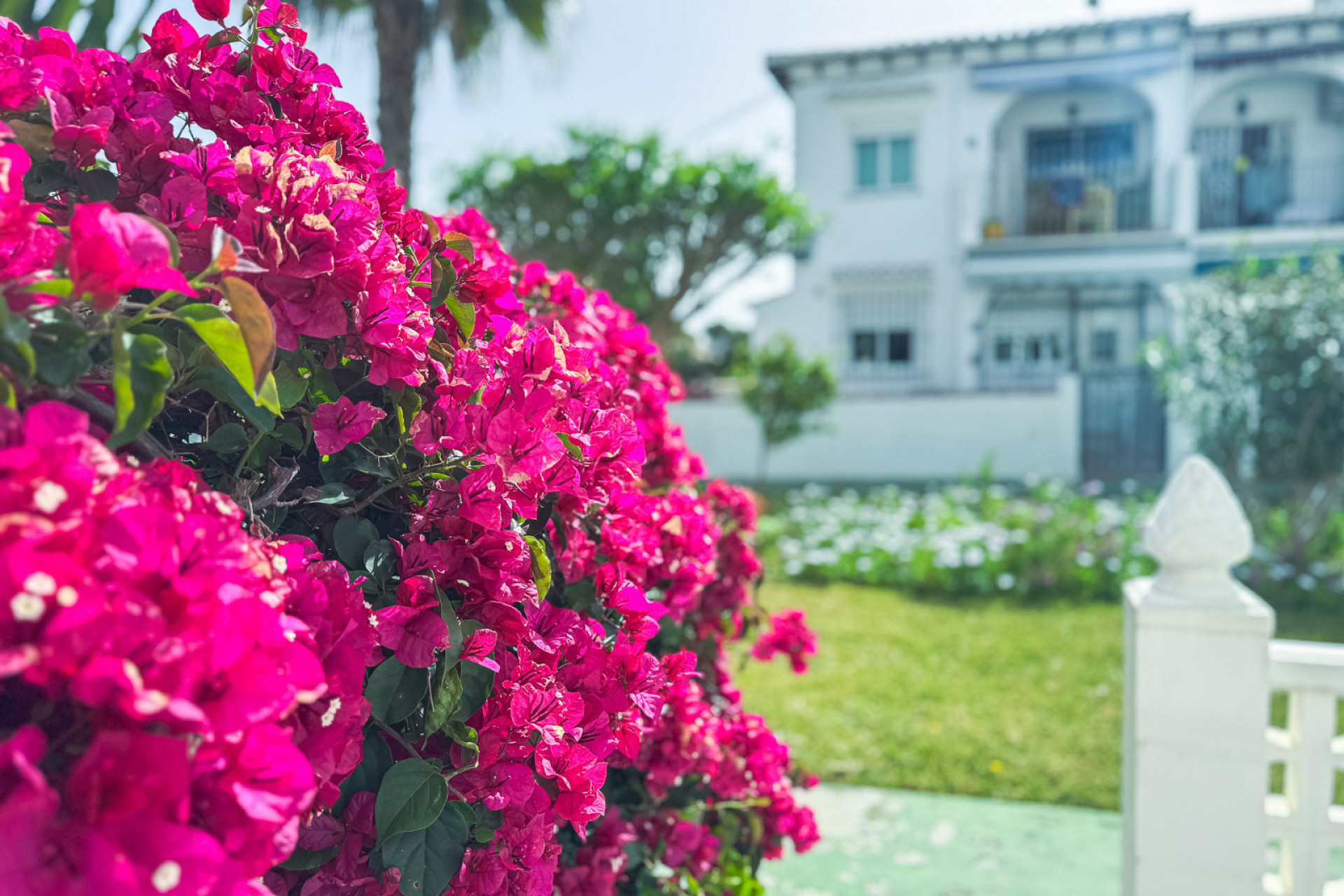 Herverkoop - Appartement / Flat - Torrevieja - Lago Jardin