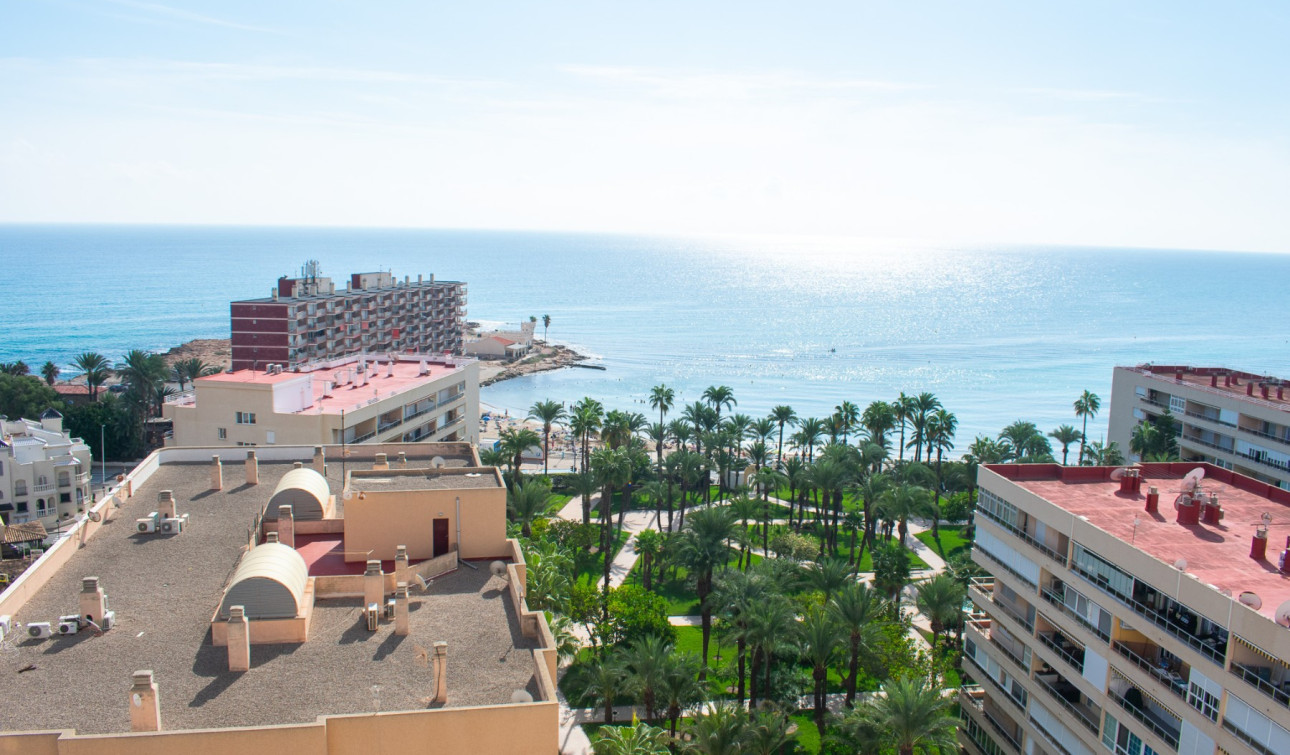 Herverkoop - Appartement / Flat - Torrevieja - Playa de los Locos