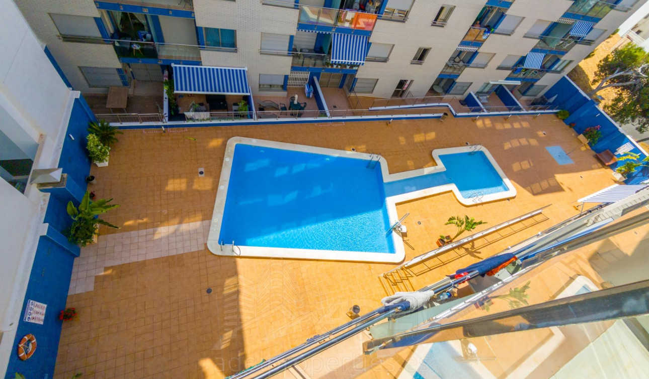 Herverkoop - Appartement / Flat - Torrevieja - Playa de los locos