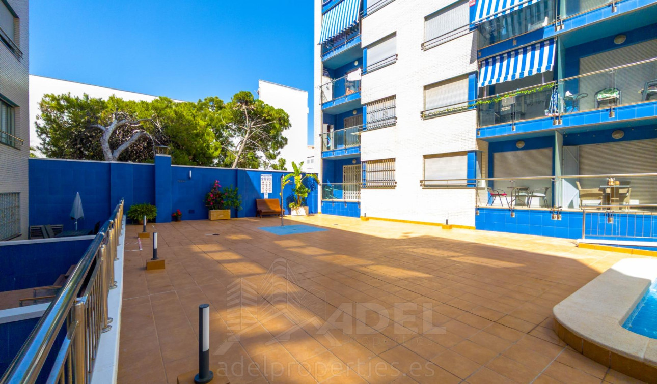 Herverkoop - Appartement / Flat - Torrevieja - Playa de los locos