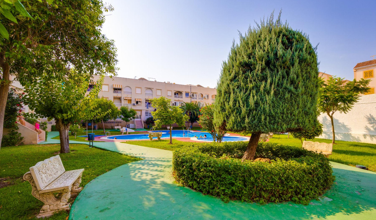 Herverkoop - Appartement / Flat - Torrevieja - Playa del Acequión