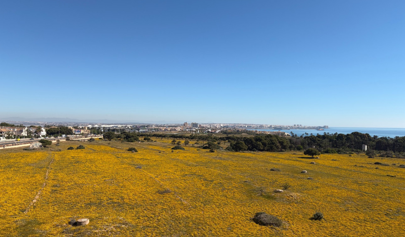 Herverkoop - Appartement / Flat - Torrevieja - Punta Prima