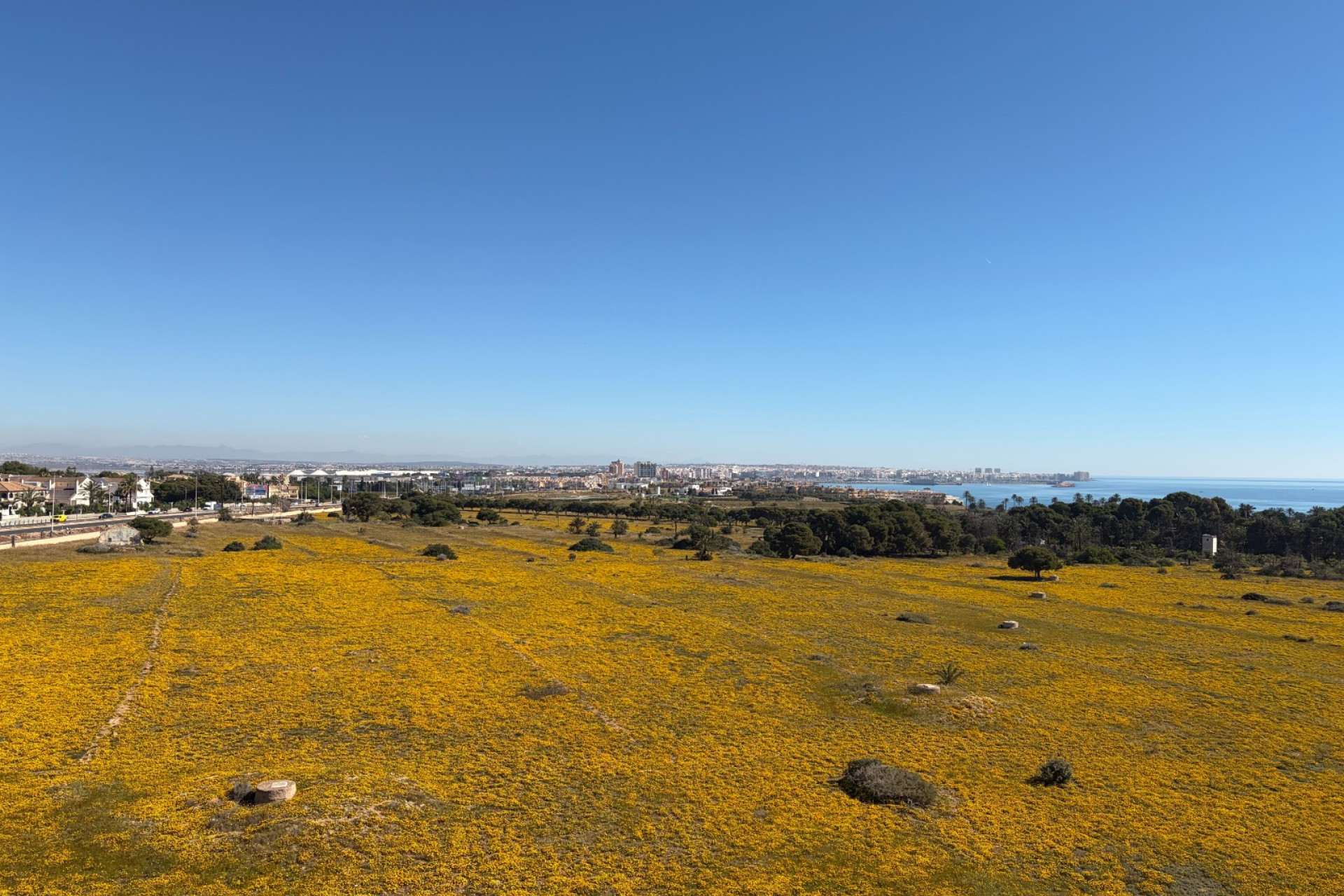 Herverkoop - Appartement / Flat - Torrevieja - Punta Prima