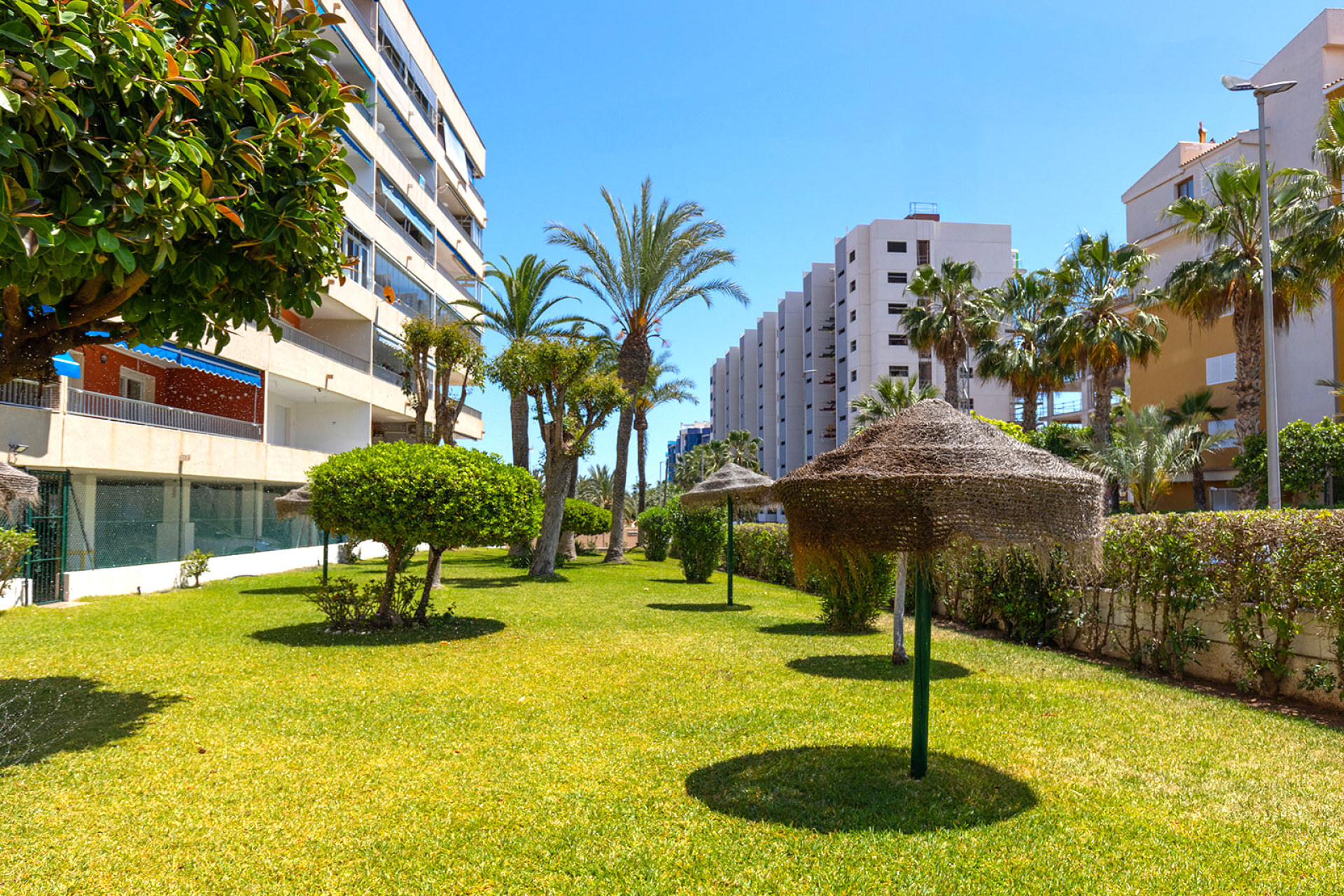 Herverkoop - Appartement / Flat - Torrevieja - Rocio del Mar