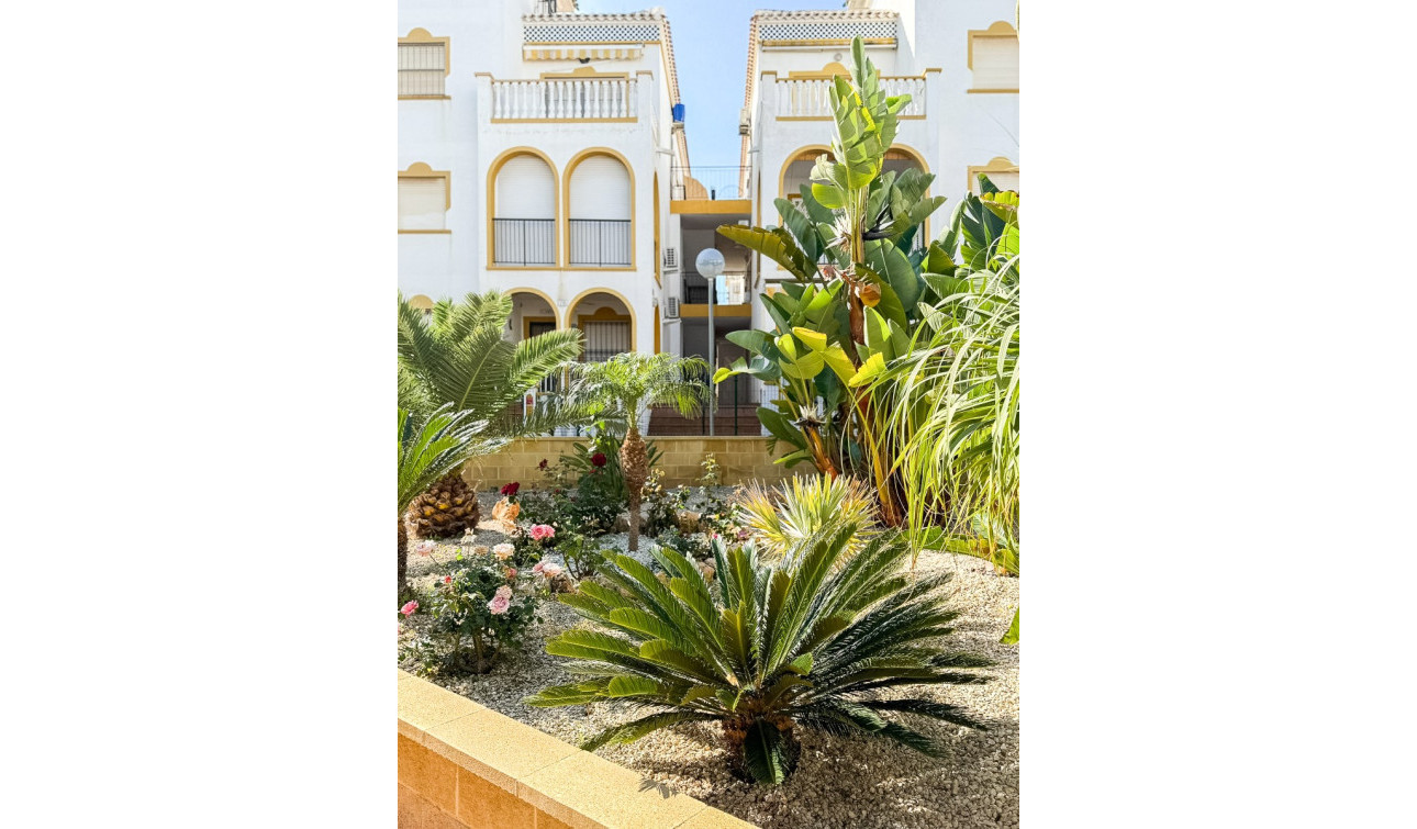 Herverkoop - Appartement / Flat - Torrevieja - Torrelamata - La Mata