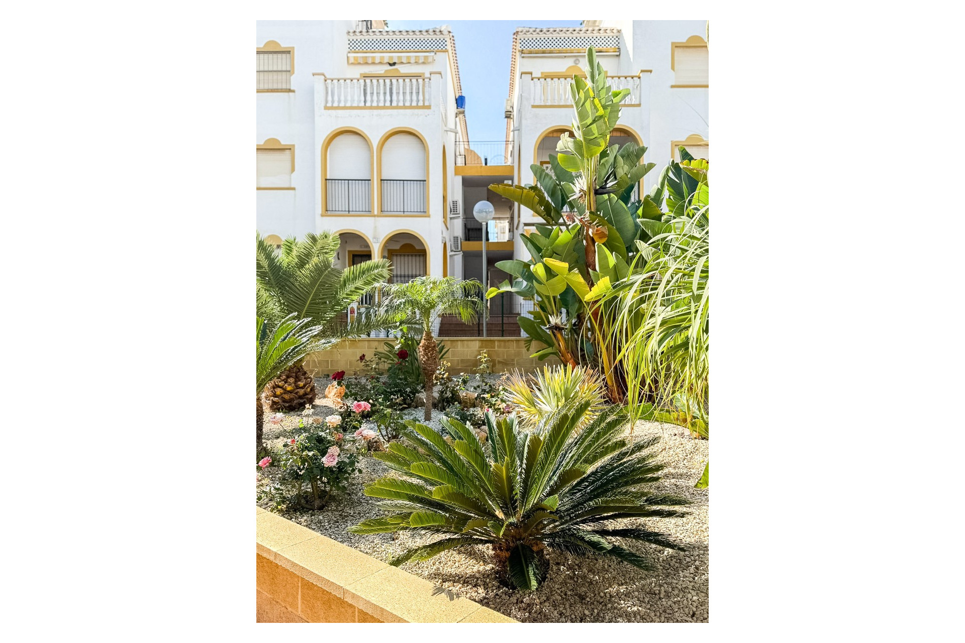 Herverkoop - Appartement / Flat - Torrevieja - Torrelamata - La Mata