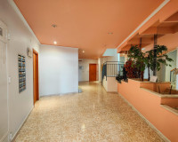 Herverkoop - Appartement / Flat - Torrevieja - torrevieja