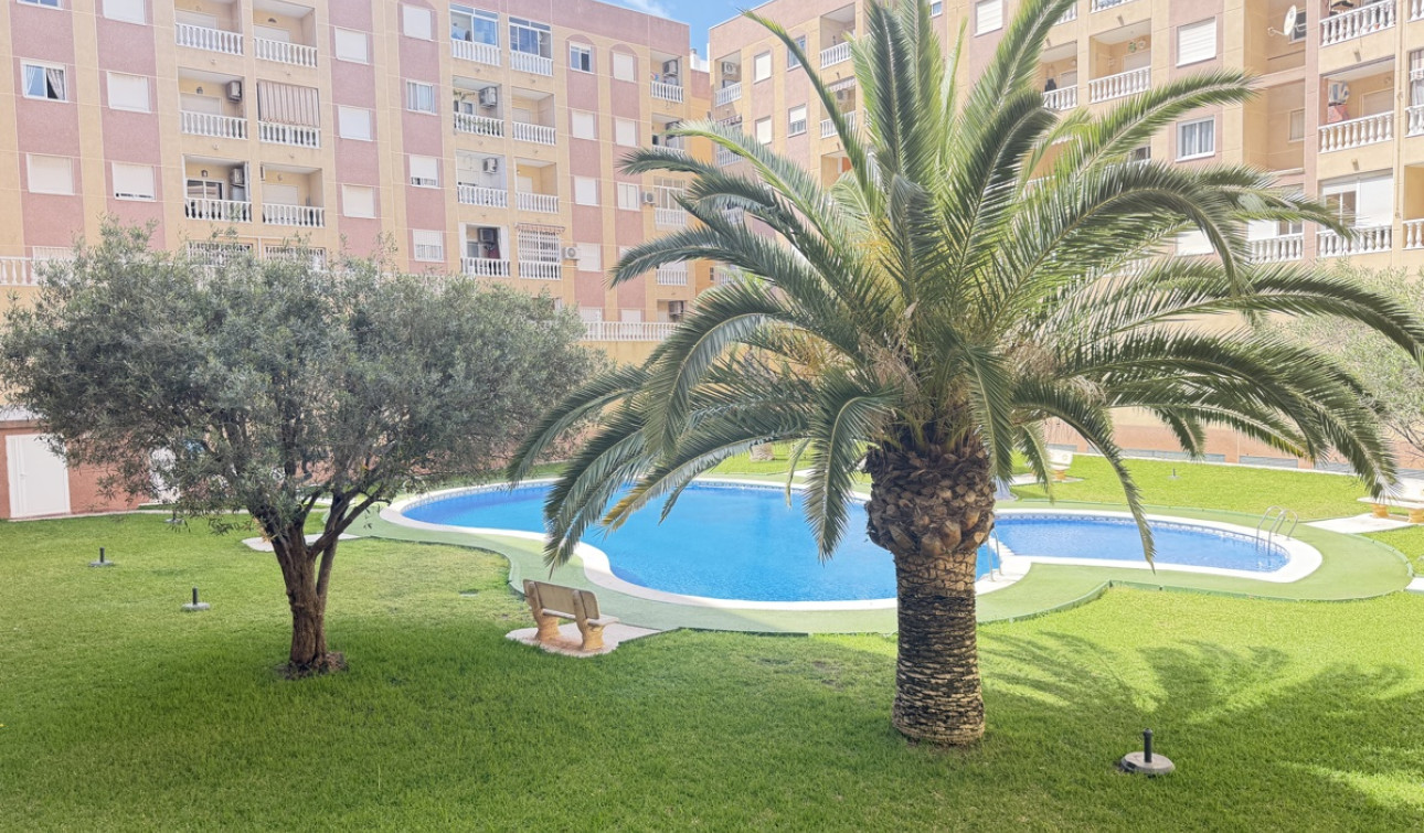 Herverkoop - Appartement / Flat - Torrevieja