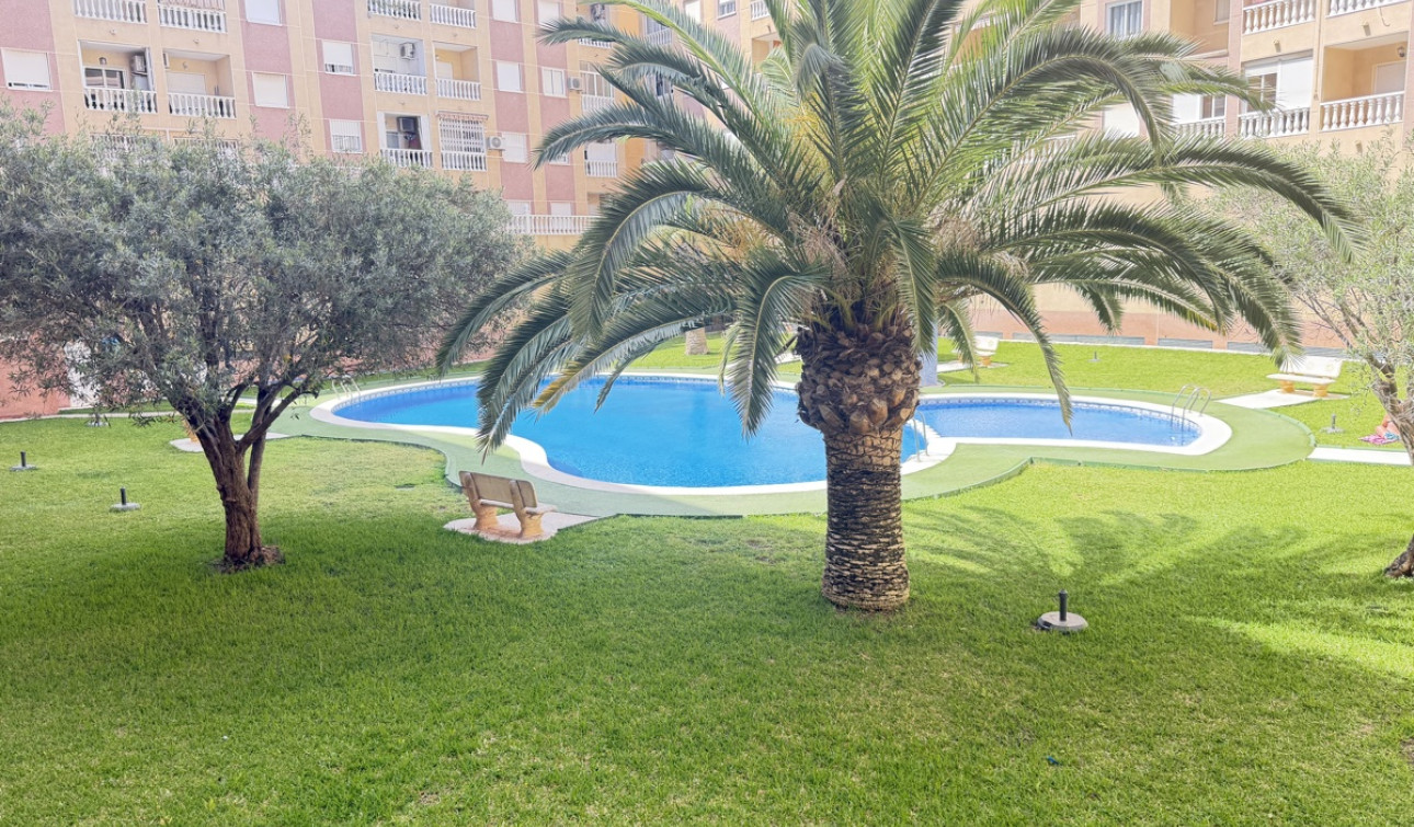 Herverkoop - Appartement / Flat - Torrevieja