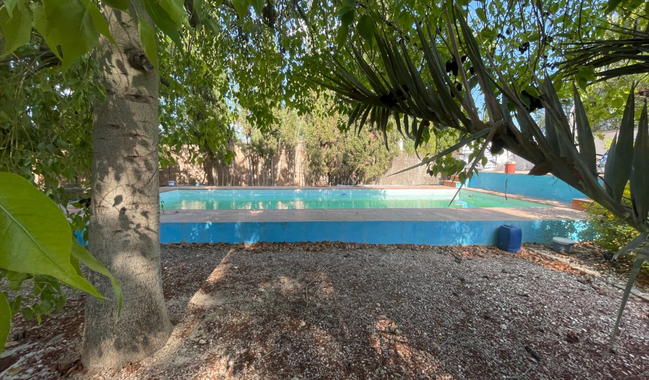 Herverkoop - Finca / Landgoed - Albatera