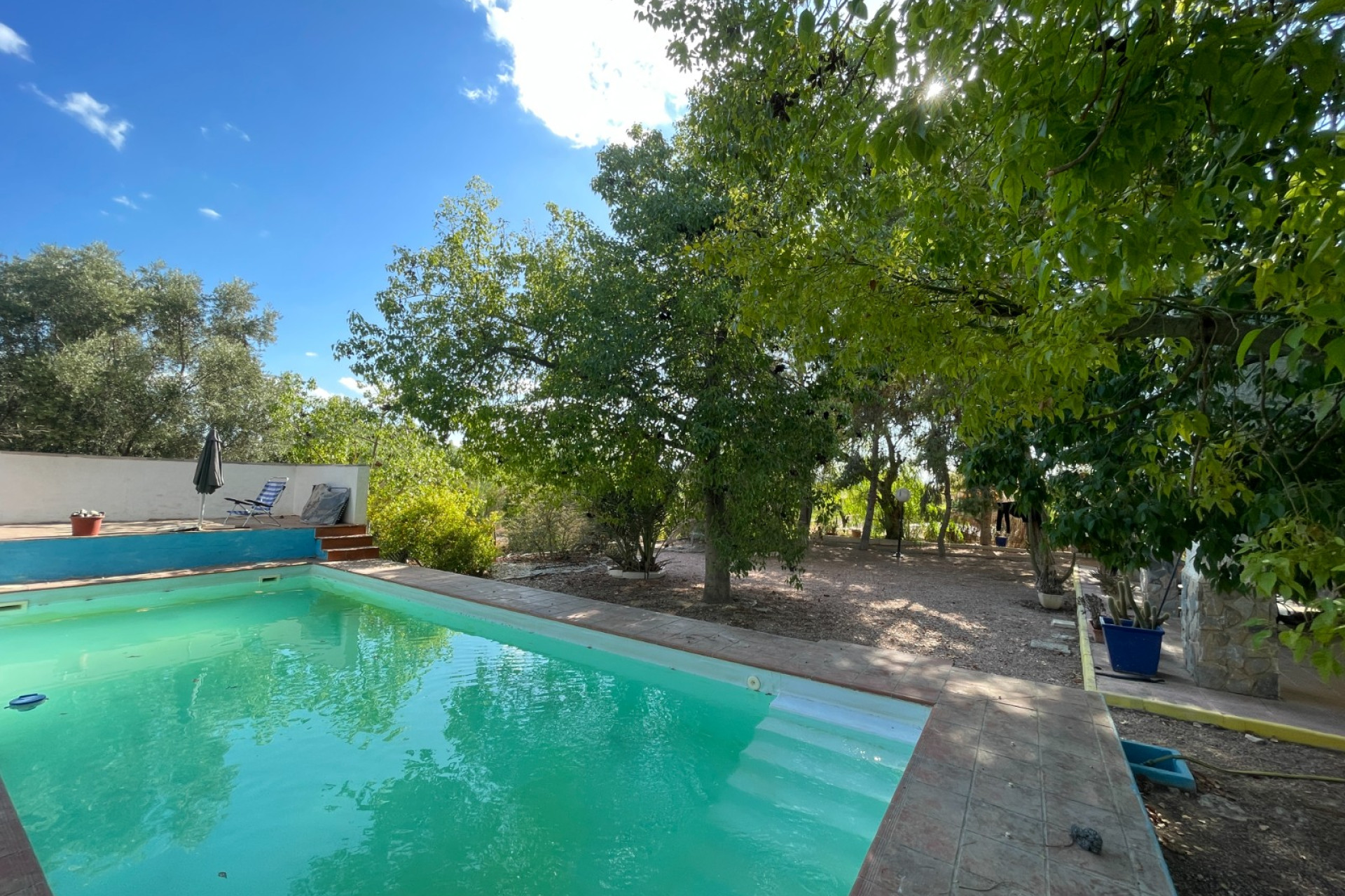 Herverkoop - Finca / Landgoed - Albatera