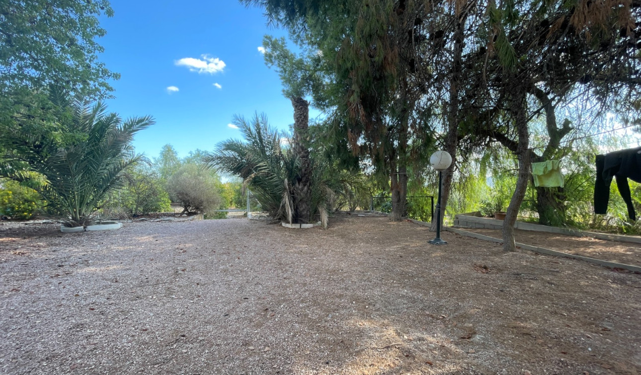 Herverkoop - Finca / Landgoed - Albatera