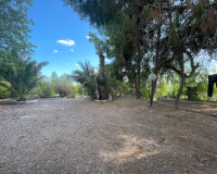 Herverkoop - Finca / Landgoed - Albatera