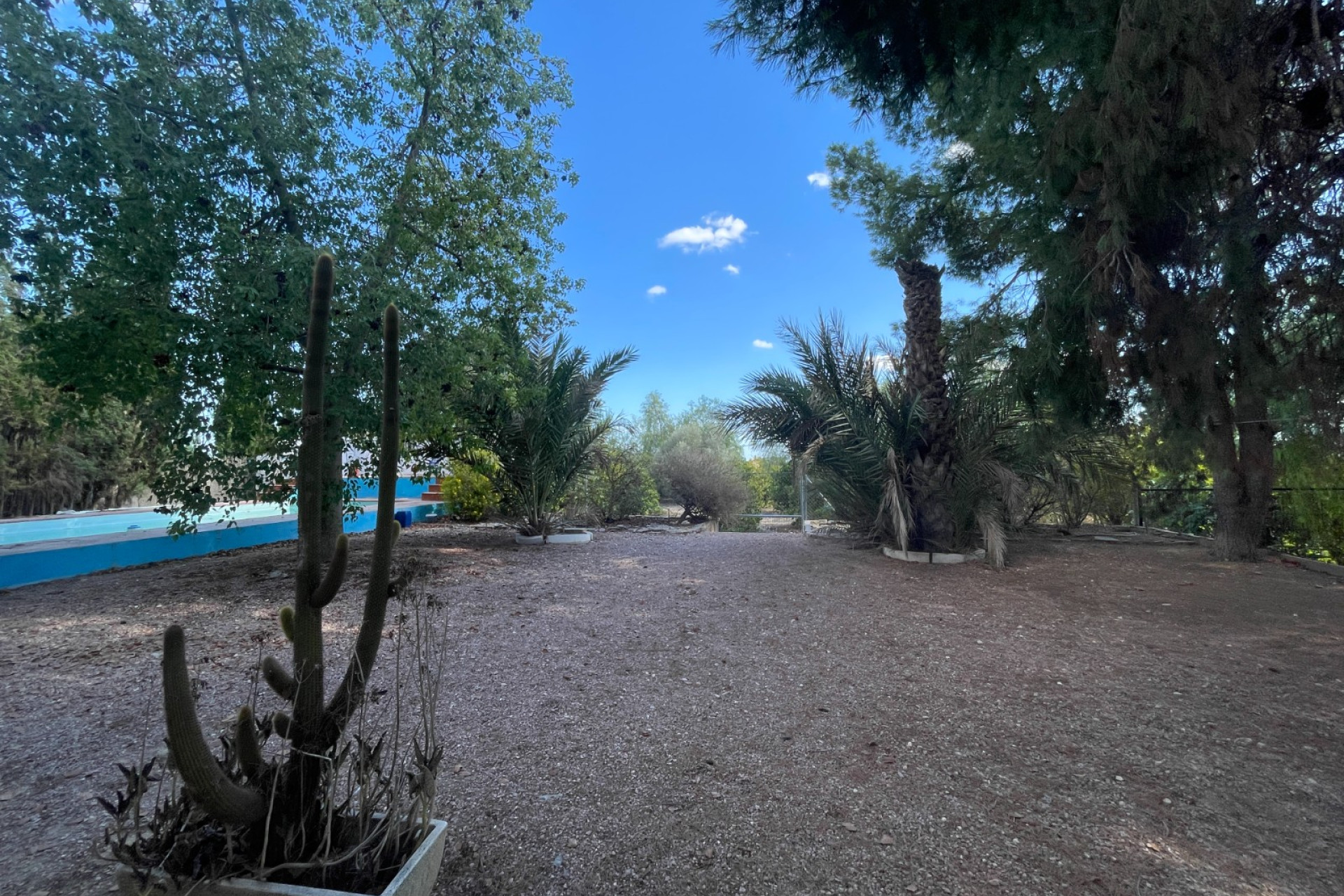 Herverkoop - Finca / Landgoed - Albatera