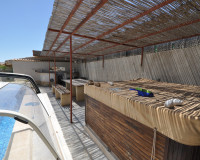 Herverkoop - Finca / Landgoed - Crevillente