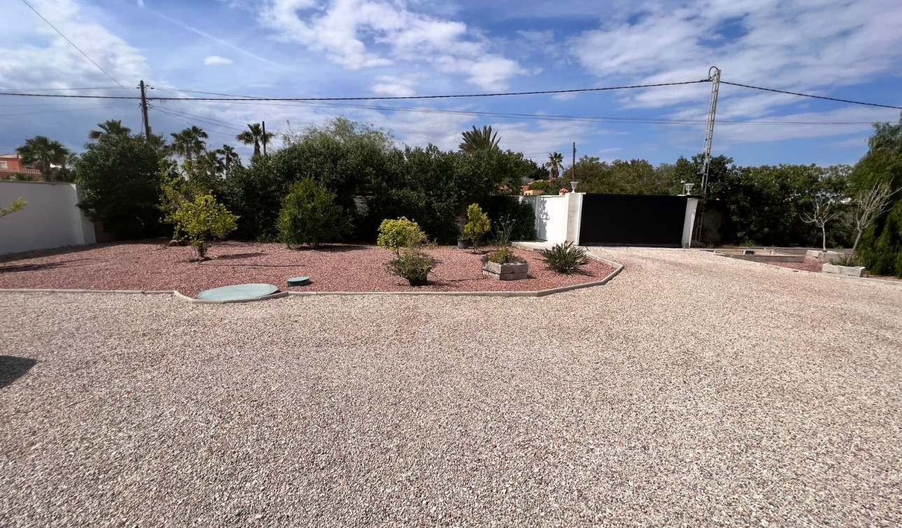 Herverkoop - Finca / Landgoed - Elche - La Marina