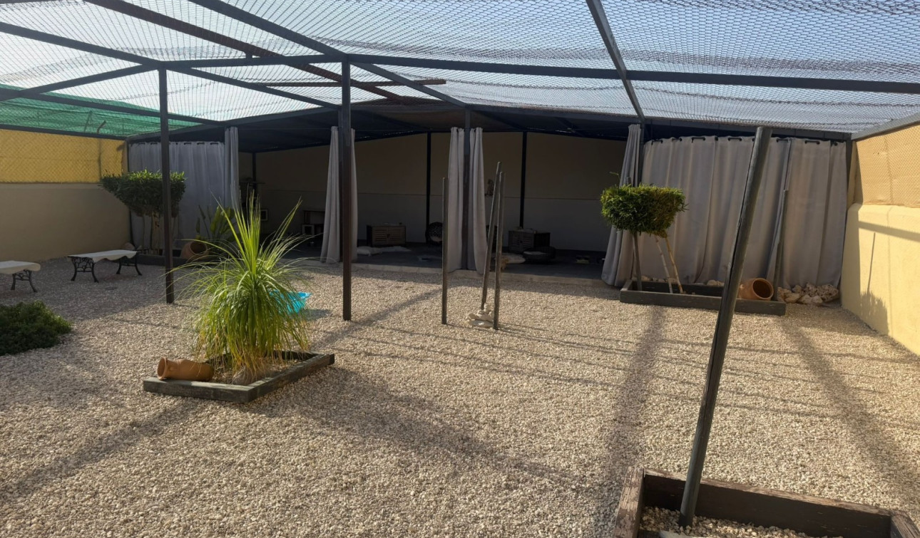 Herverkoop - Finca / Landgoed - Elche - Las Bayas