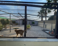 Herverkoop - Finca / Landgoed - Elche - Las Bayas