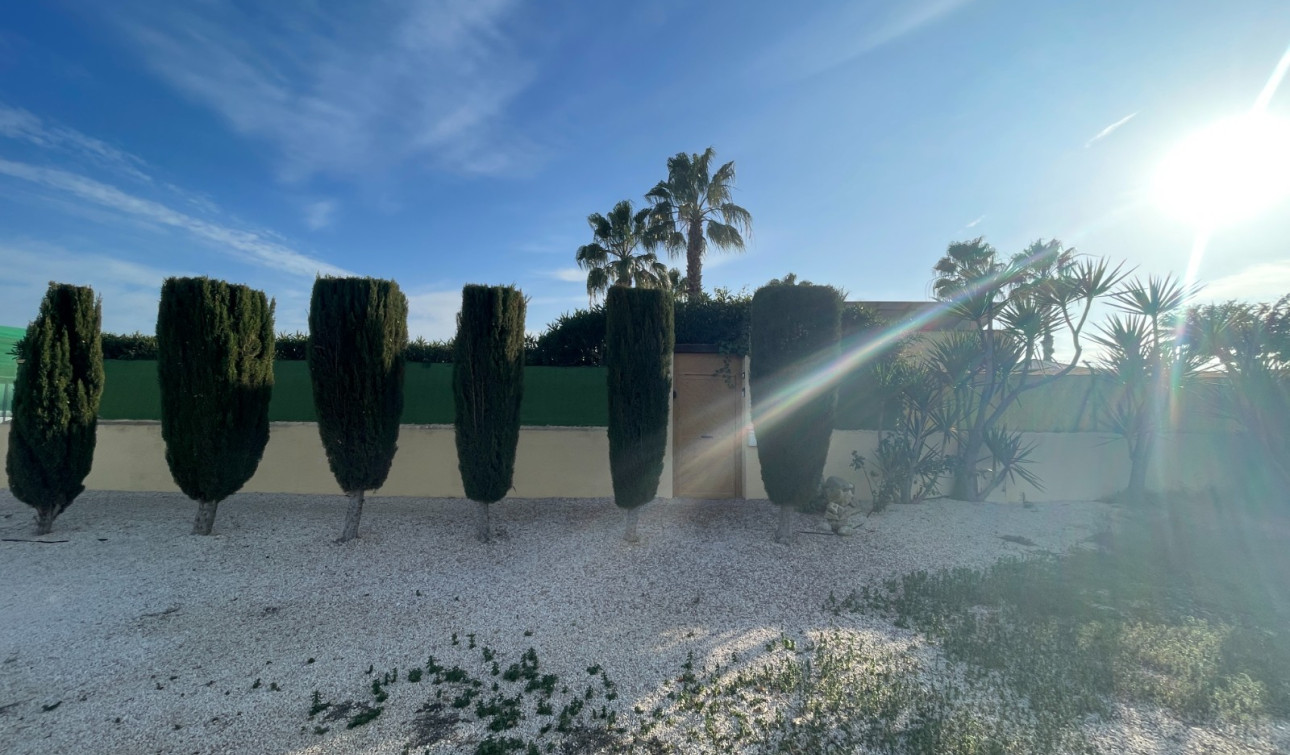 Herverkoop - Finca / Landgoed - Elche - Las Bayas