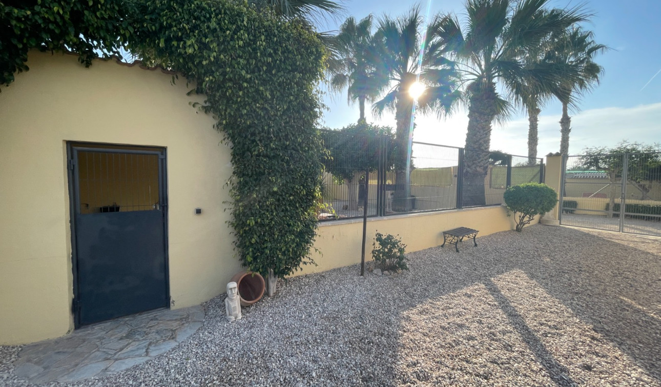 Herverkoop - Finca / Landgoed - Elche - Las Bayas