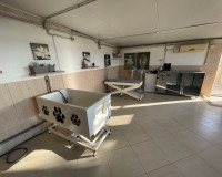 Herverkoop - Finca / Landgoed - Elche - Las Bayas