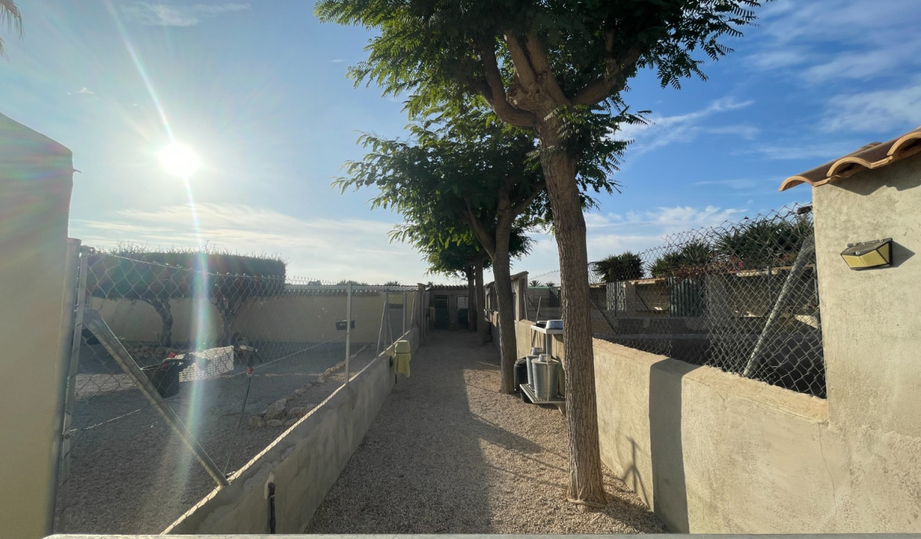 Herverkoop - Finca / Landgoed - Elche - Las Bayas