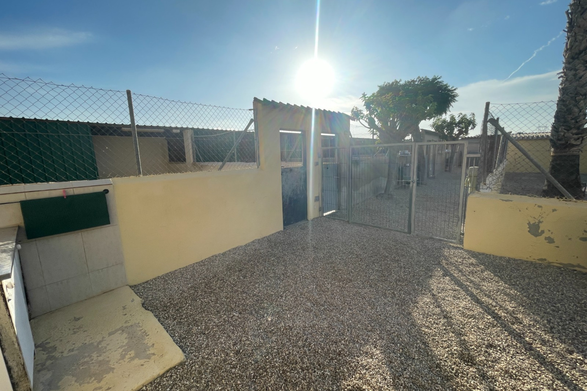 Herverkoop - Finca / Landgoed - Elche - Las Bayas