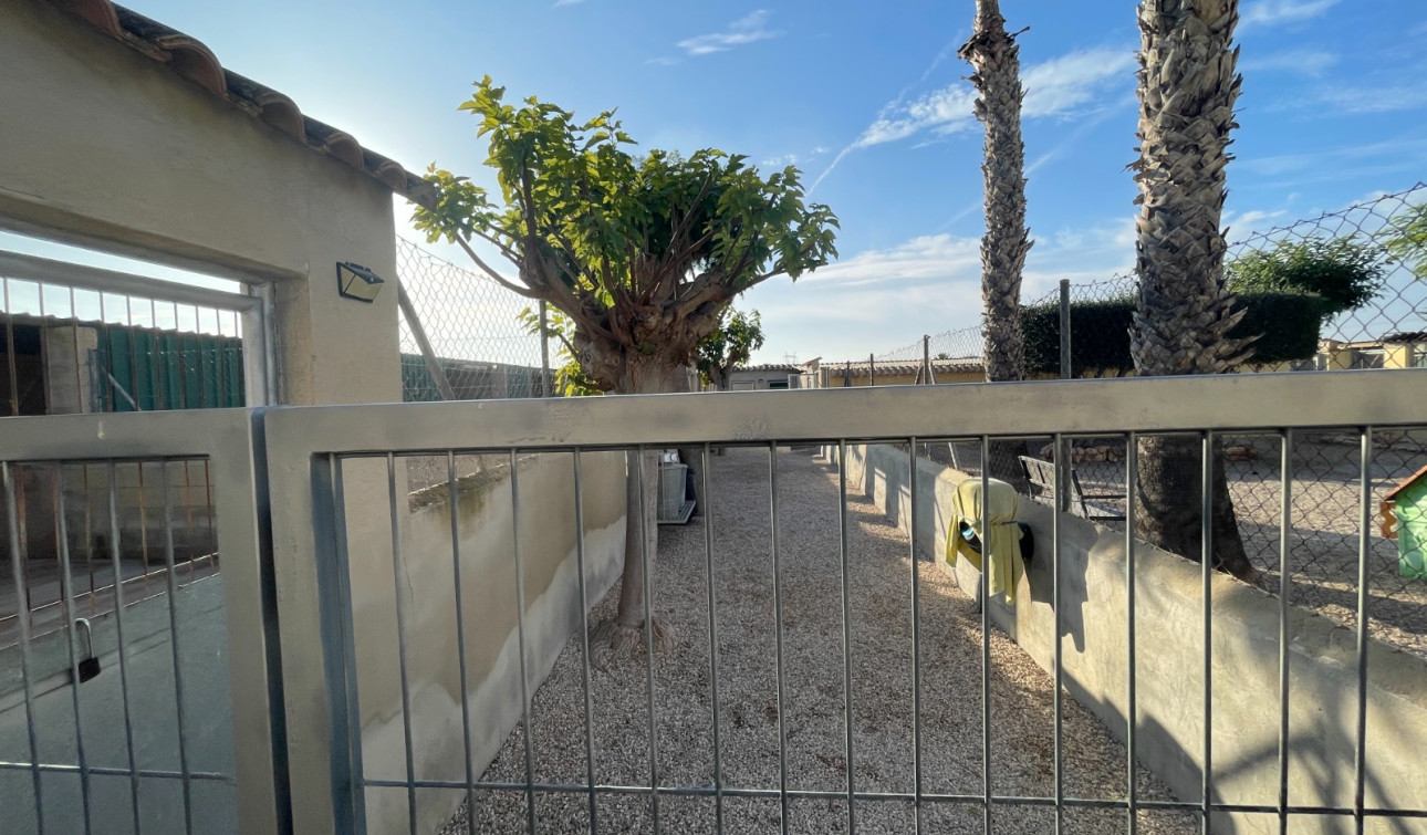 Herverkoop - Finca / Landgoed - Elche - Las Bayas