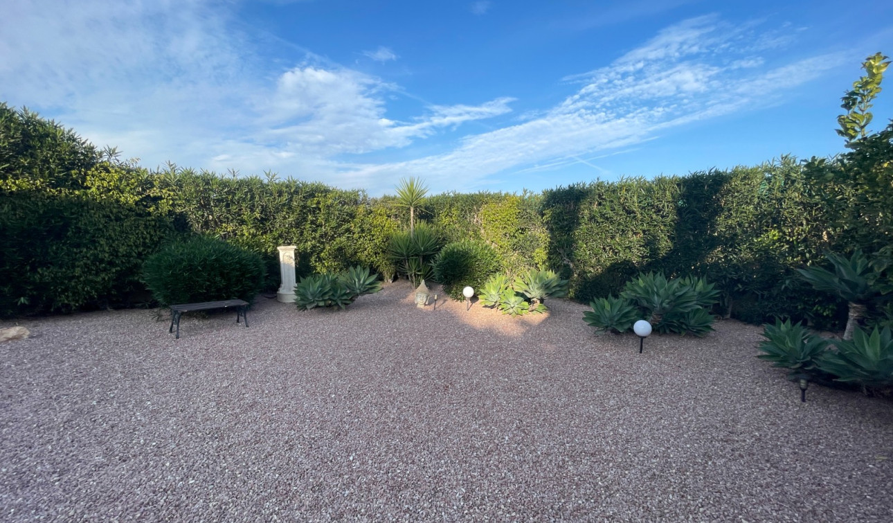 Herverkoop - Finca / Landgoed - Elche - Las Bayas