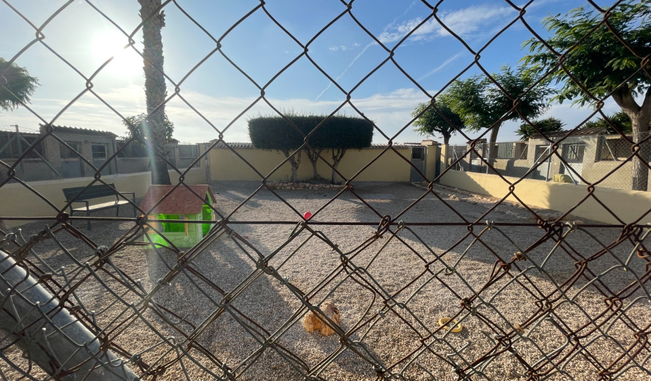 Herverkoop - Finca / Landgoed - Elche - Las Bayas