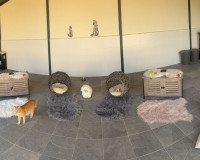 Herverkoop - Finca / Landgoed - Elche - Las Bayas