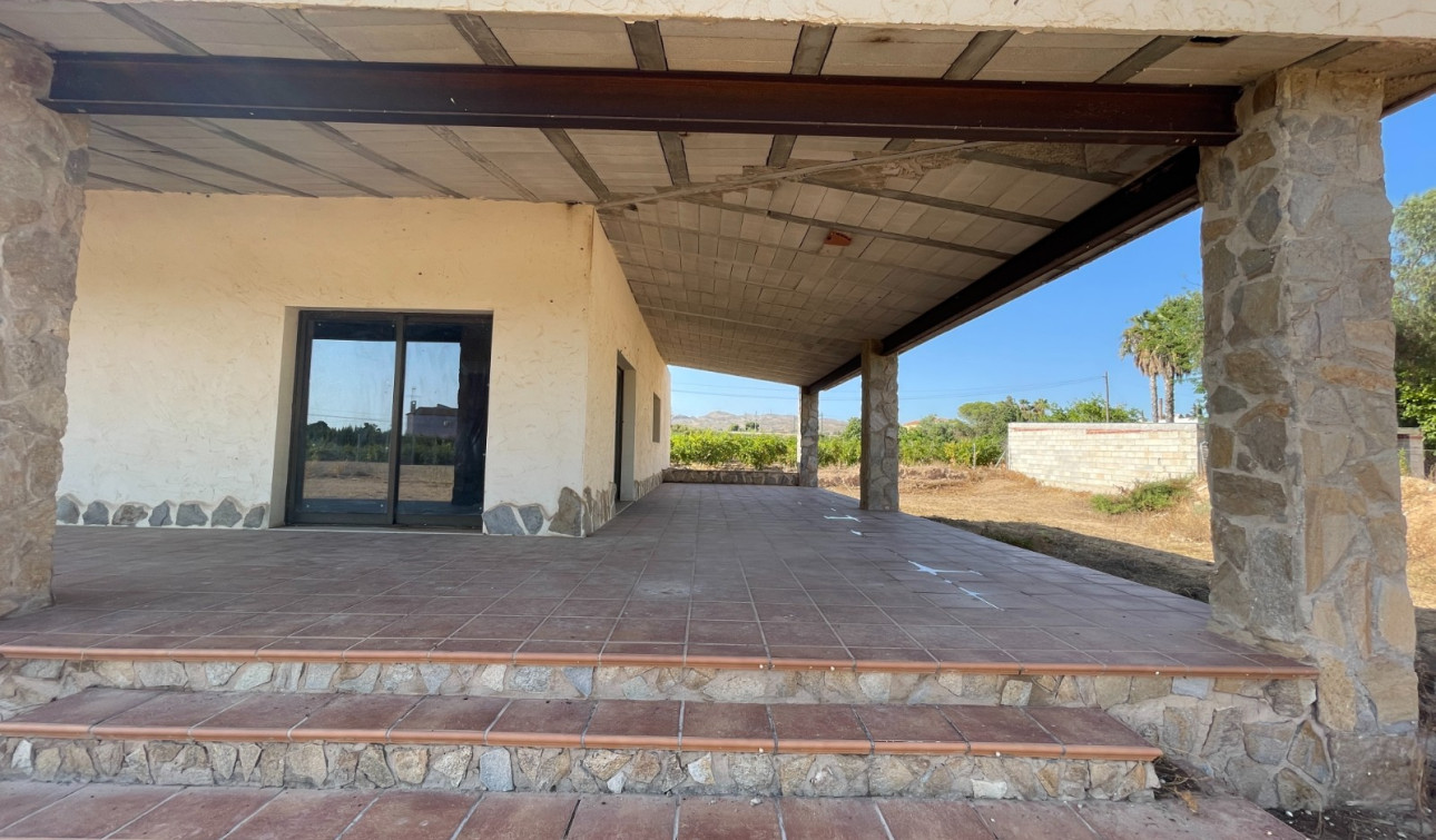Herverkoop - Finca / Landgoed - Elche - Matola