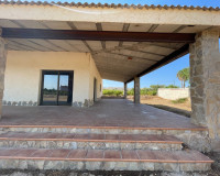Herverkoop - Finca / Landgoed - Elche - Matola